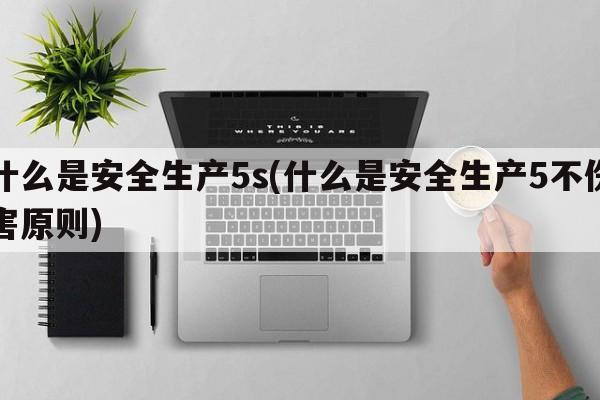 什么是安全生产5s(什么是安全生产5不伤害原则)